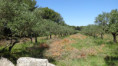 /album/25-avril-autour-de-barbentane/bar-8-jpg/